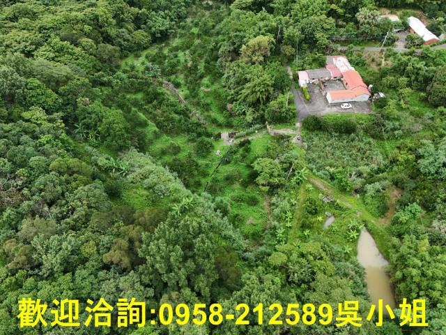 新竹關西山坡地-6