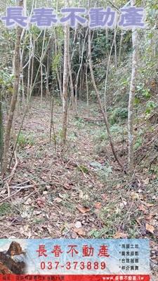 苗栗銅鑼農地-6