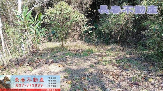 苗栗銅鑼農地-1