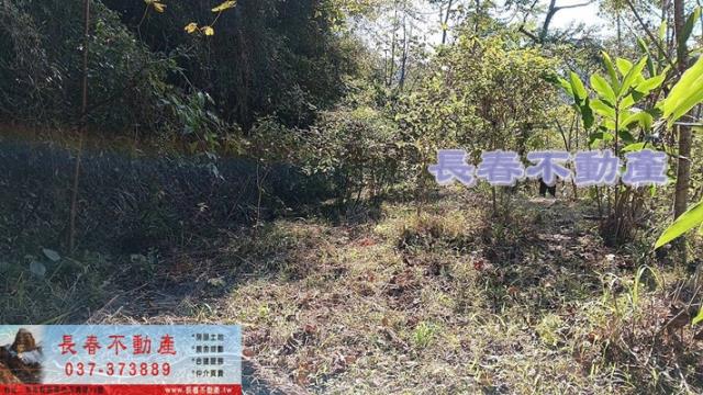 苗栗銅鑼農地-2