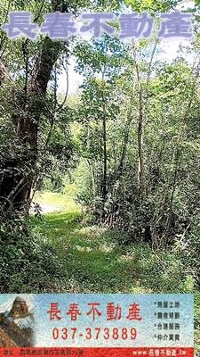 苗栗銅鑼農地-5