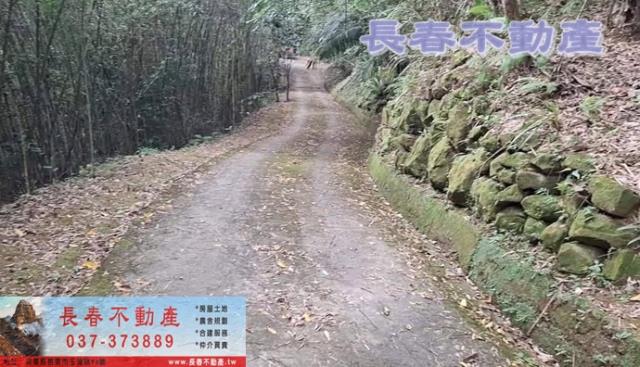 苗栗銅鑼農地-6