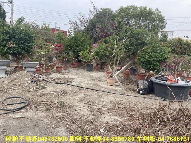 彰化永靖農地-3