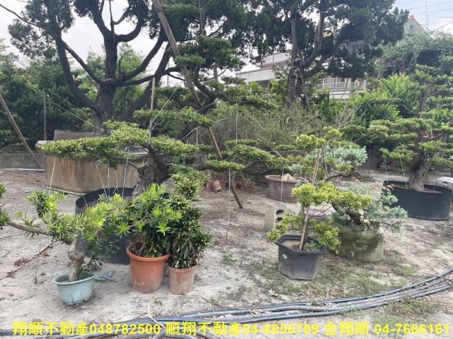 彰化永靖農地-6