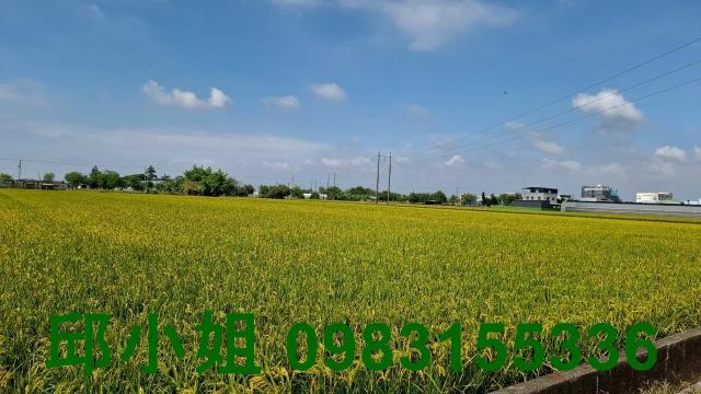 嘉義太保農地-1