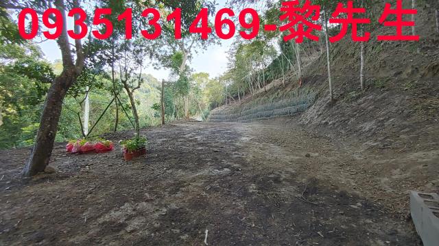 新竹北埔農地-9