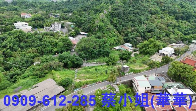 燕巢農地-1
