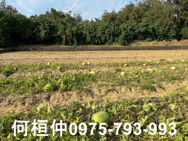 後龍農地-2
