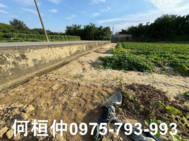 後龍農地-7