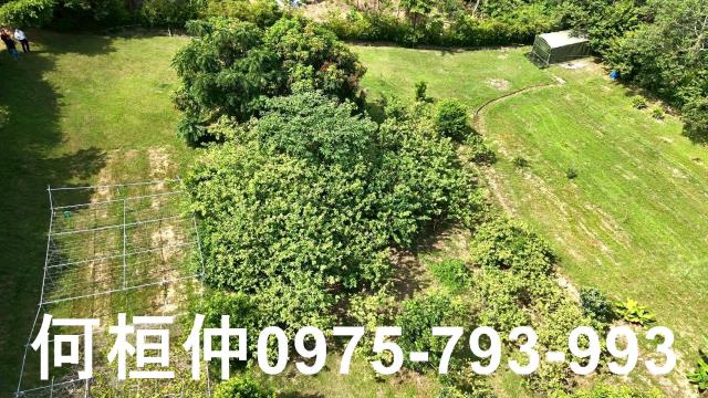 頭份農地-7