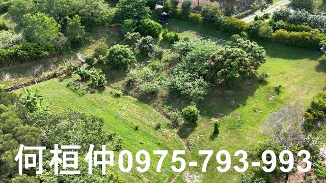 頭份農地-1