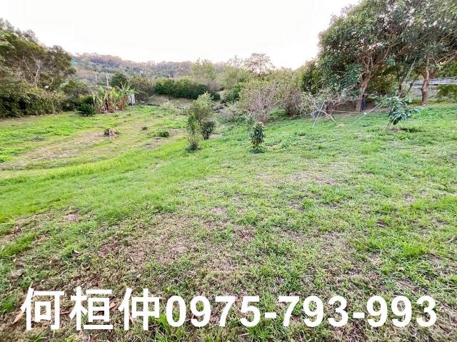 頭份農地-11