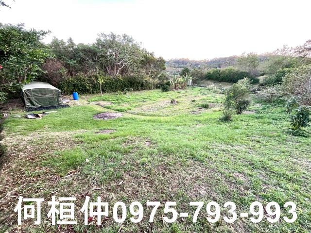 頭份農地-3