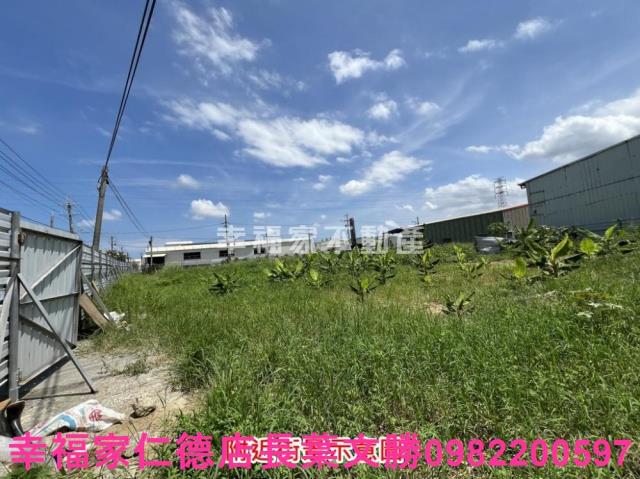 仁德農地-4