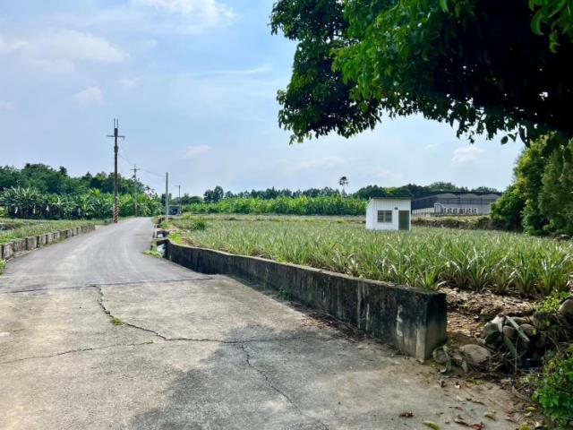 名間農地-1