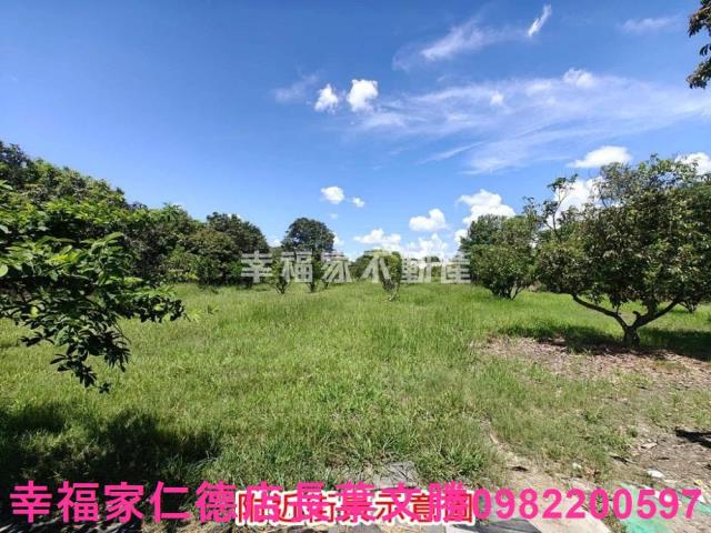 麻豆農地-6