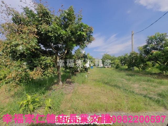 官田農地-3