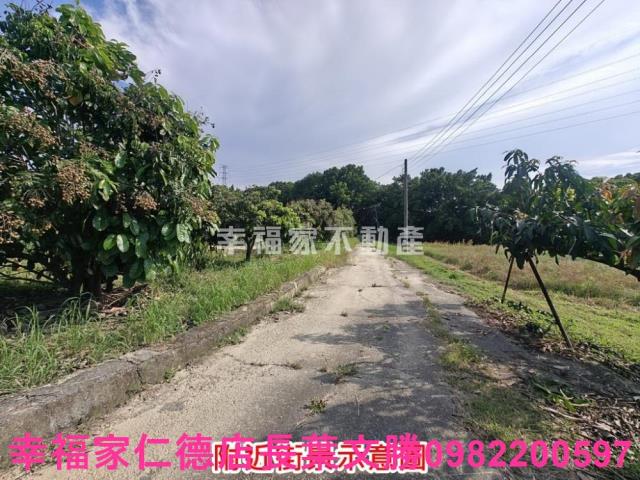 官田農地-4