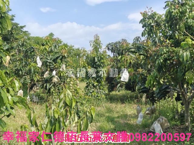 官田農地-7