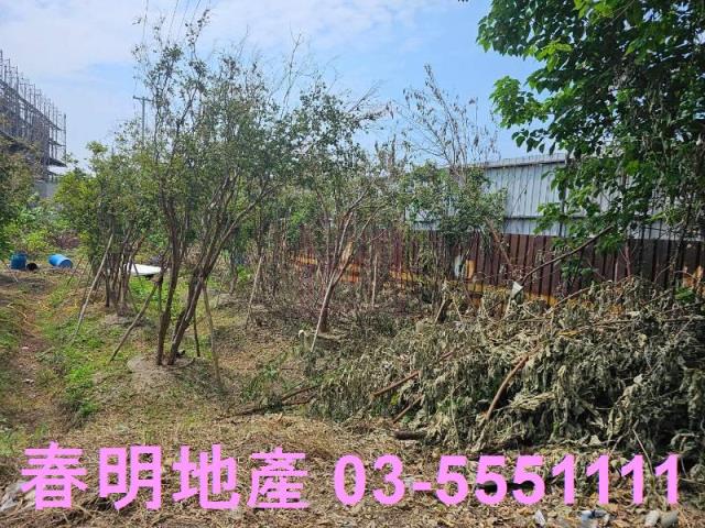 東區農地-1