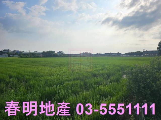 東區農地-4