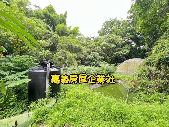 嘉義農地-4