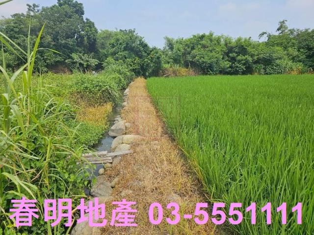 新竹農地-1