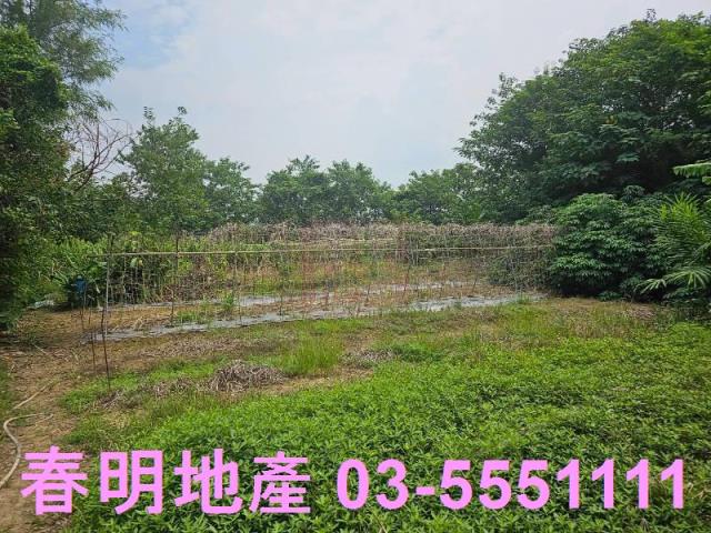 新竹農地-2