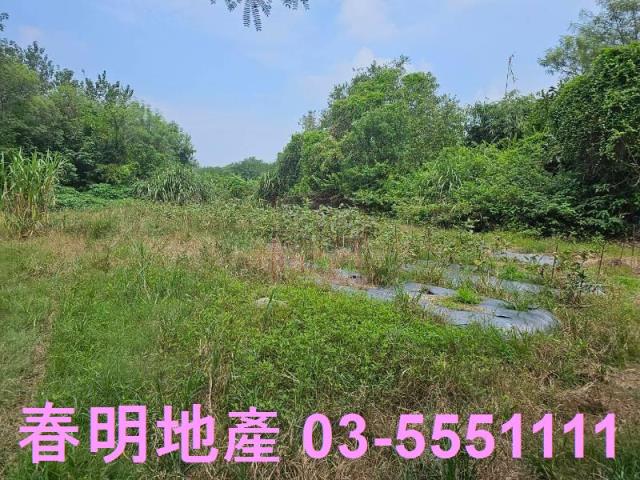 新竹農地-4
