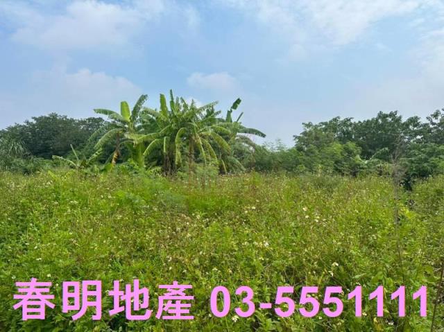 新竹農地-6