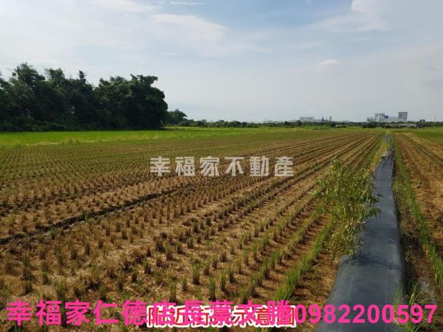 台南農地-14