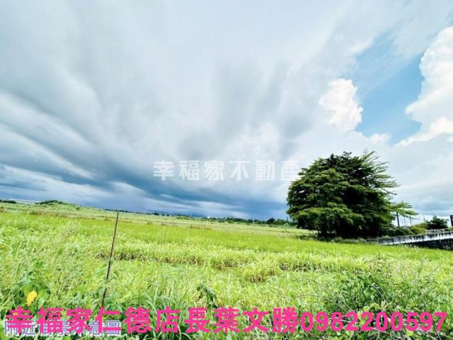 台南善化農地-11