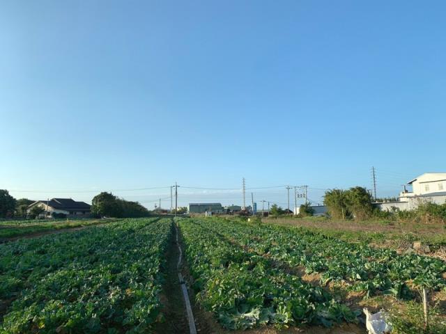 桃園新屋農地-5