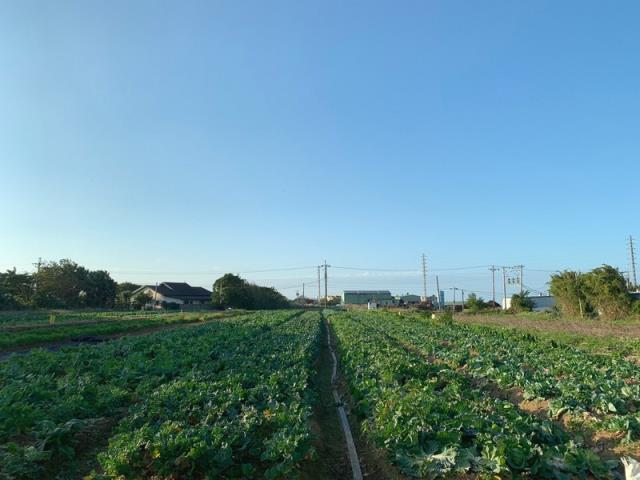 桃園新屋農地-6