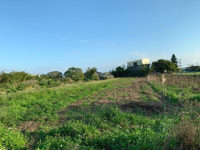 桃園新屋農地-7