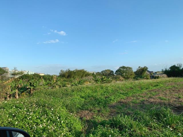 桃園新屋農地-8