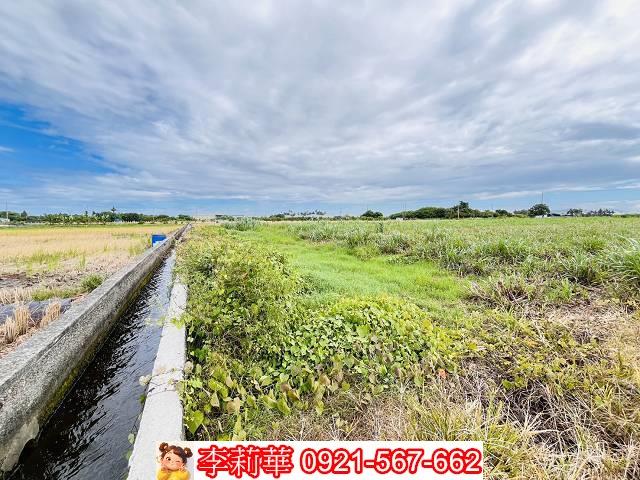 高雄橋頭農地-8