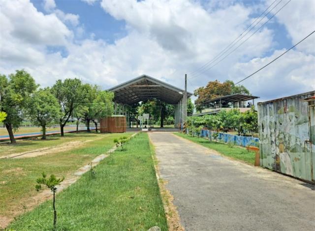 高雄阿蓮農地-14