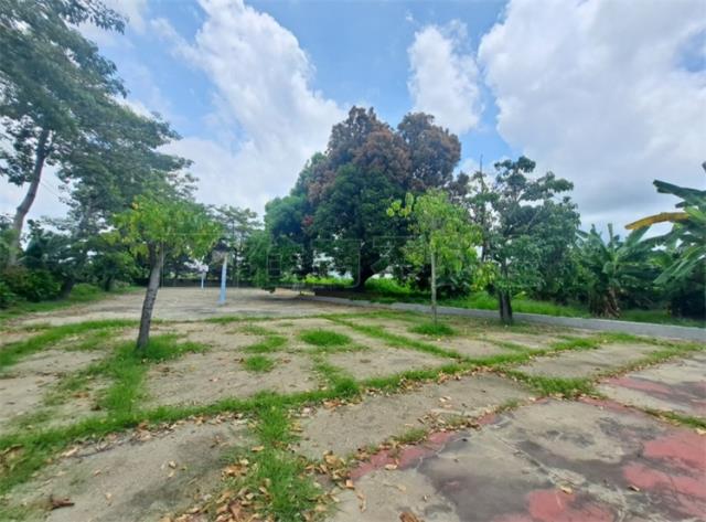 高雄阿蓮農地-3