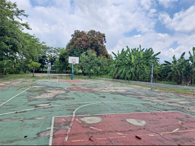 高雄阿蓮農地-4
