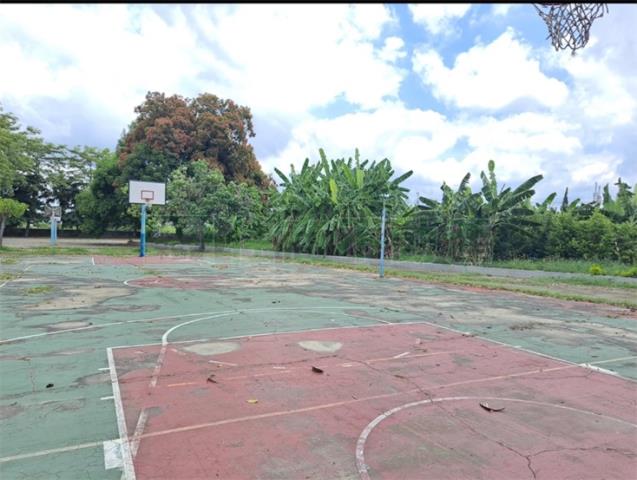 高雄阿蓮農地-5