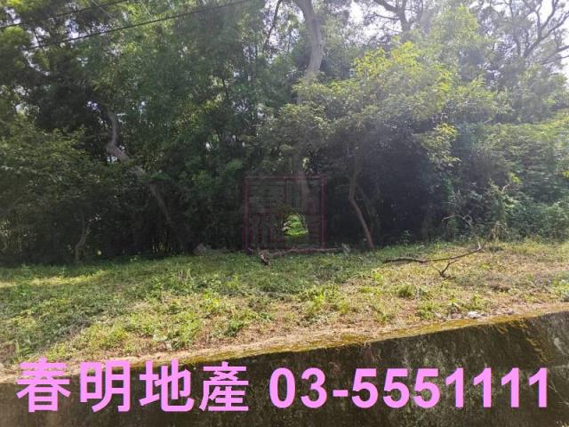 新竹東區保護地-6