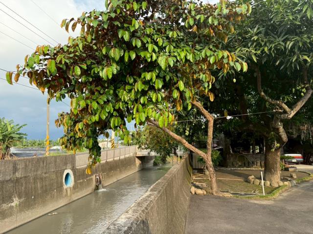 高雄美濃建地-10