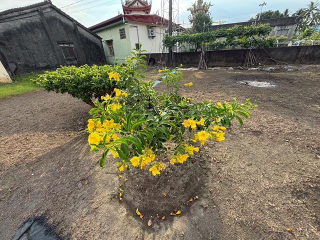 高雄美濃建地-4