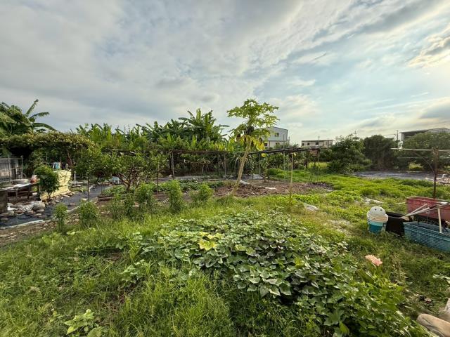高雄美濃建地-9