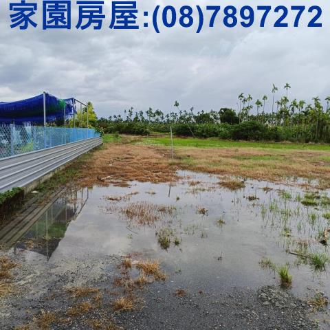 新埤農地-3
