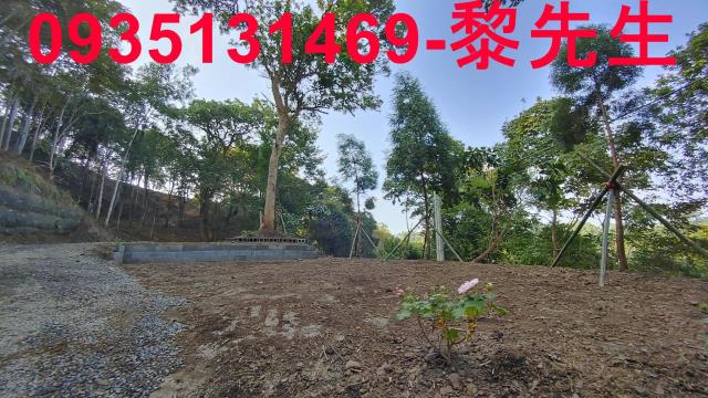 北埔農地-2