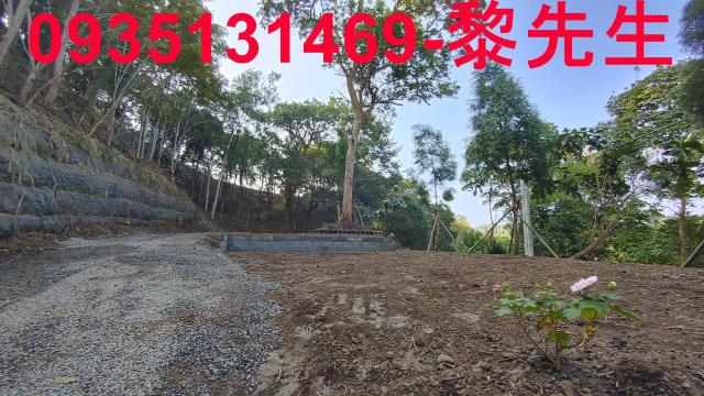 北埔農地-3