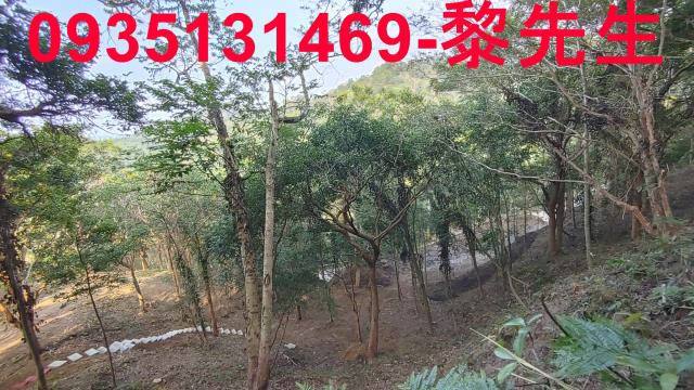 北埔農地-9