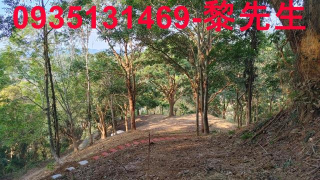 北埔農地-4
